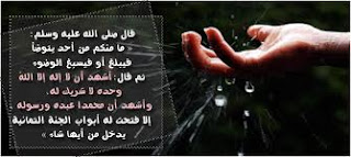 حديث : الطهور شطر الإيمان