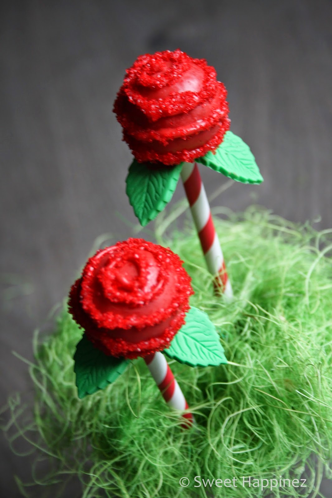 http://4.bp.blogspot.com/-HLbDW-4rpZ8/U4XkfBziclI/AAAAAAAAC5g/pVJnwTfSbvU/s1600/Rozen+Cake+Pops+2.JPG