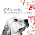 Un perro. Alejandro Palomas