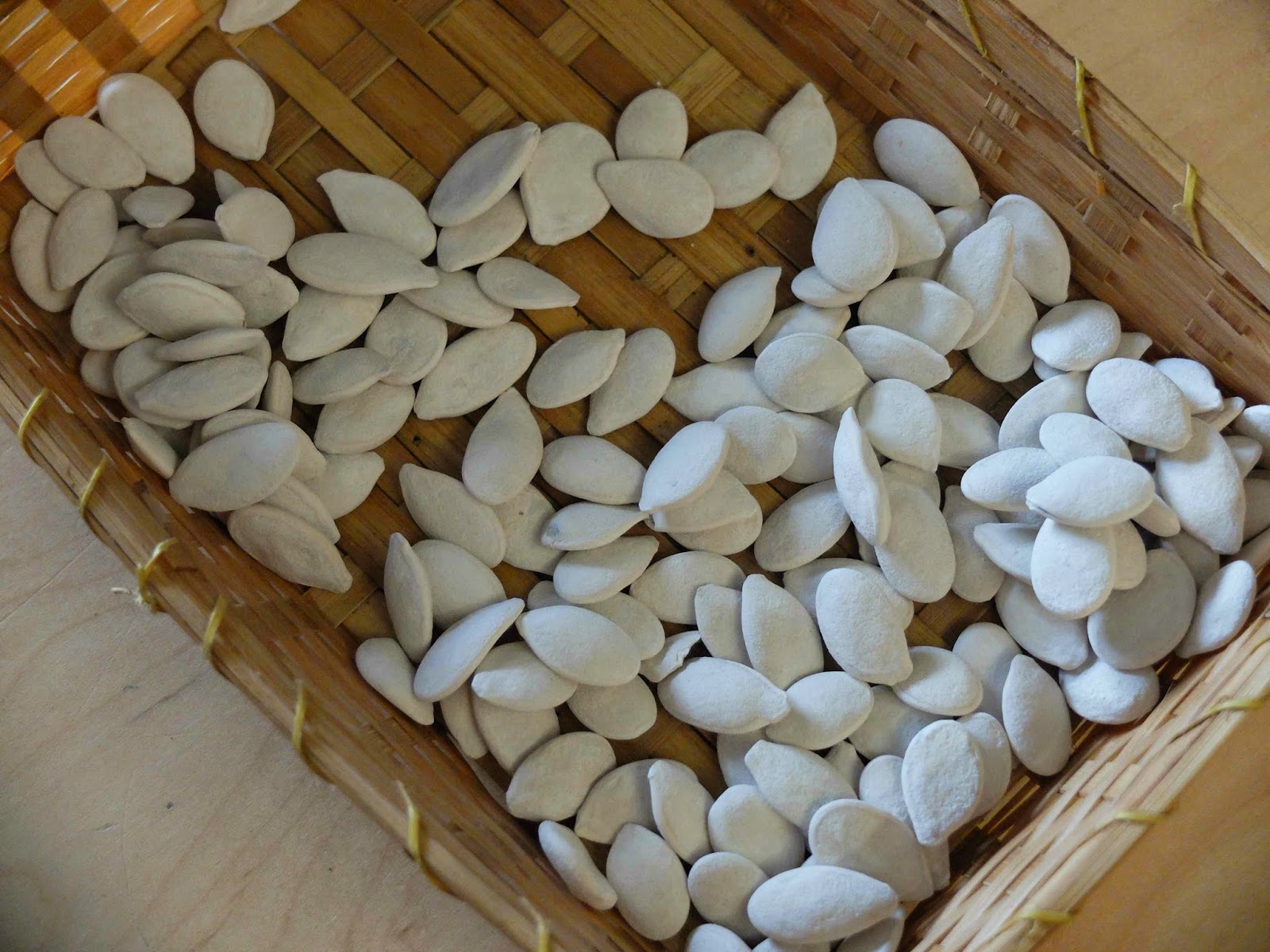 pumpkin seed measuring rubber boots and elf shoes