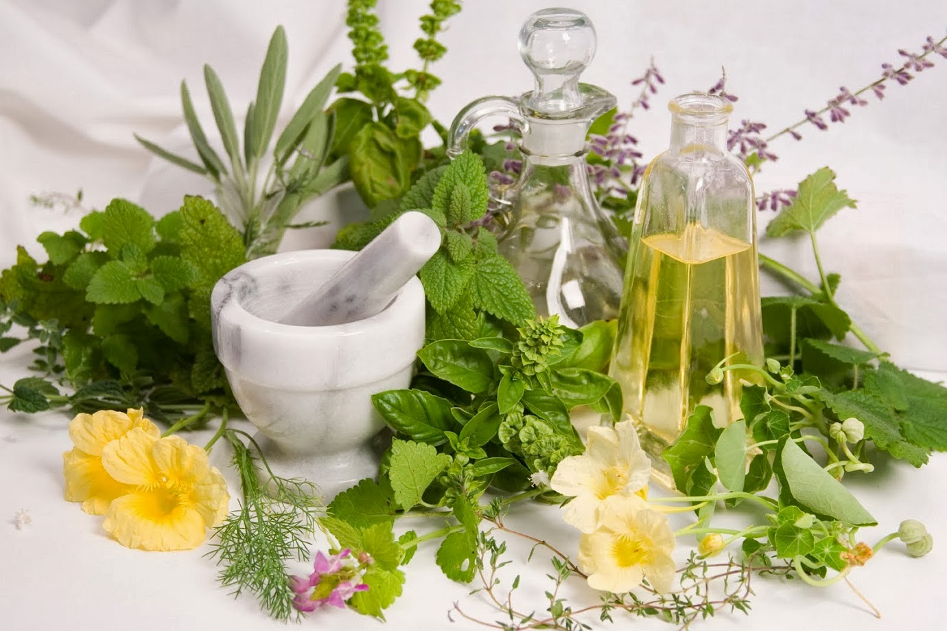 KL's Naturals The Exciting World Of Natural Oils And Their Benefits in