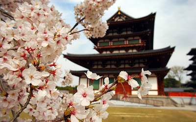 Templo en Japón rodeado con flores de cerezo