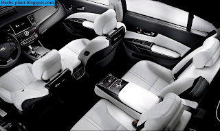 Kia k9 car 2013 interior - صور سيارة كيا k9 2013 من الداخل Kia k9 car 2013 interior - صور سيارة كيا k9 2013 من الداخل