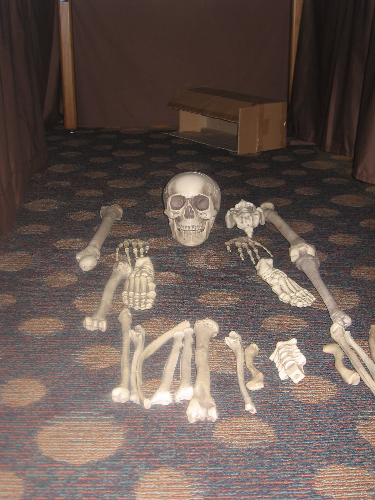 Hand bone label activity