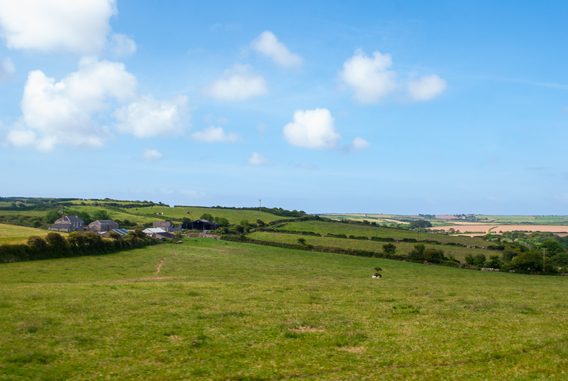 Cornwall scenery Green fields while driving to land's end, west cornwall, uk