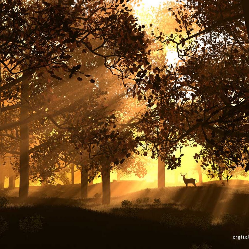 Cool Backgrounds For Computer Desktops Cool Backgrounds For Computer Desktops