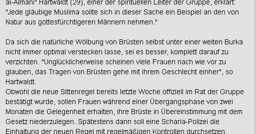 Vogel plan essay 05 image