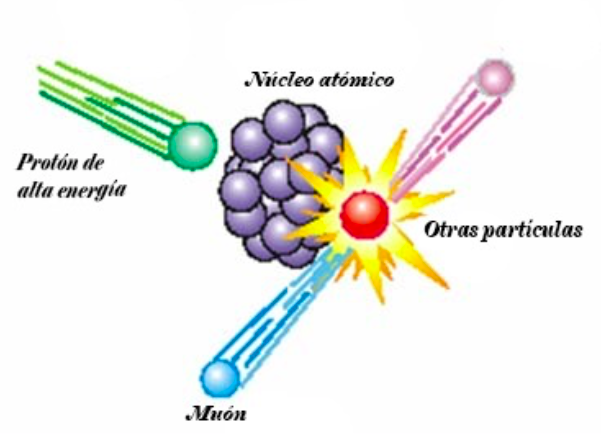 Resultado de imagen de Por qué pesa el muón
