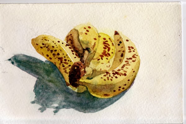 watercolor drawings