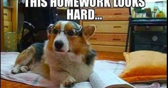 Do hard homework first