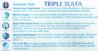 Aquarium Pharmaceuticals Triple Sulfa Diagnostic Chart