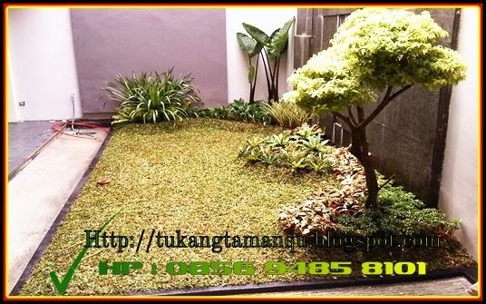 Membuat Artikel, www.google.com , www.google.co.id, TUKANG TAMAN MURAH, TUKANG TAMAN MINIMALIS, TUKANG TAMAN JAKARTA, TANAMAN HIAS, KOLAM MINIMALIS, GAZEBO, PEMASANGAN BATU ALAM, RUMPUT GAJAH MINI, RUMPUT JEPANG, RUMPUT GOLF, POHON BAMBU,Tukang taman, jasa tukang taman, pembuatan taman, jasa pembuatan taman, membuat taman, buat taman, tukang taman murah, tukang taman profesional, tukang taman indah, tukang taman minimalis, tukang taman gaya bali, tukang taman modern, tukang taman klasik, taman minimalis, taman kering, taman gaya bali, taman modern, tukang taman di bogor, tukang taman cibinong, tukang taman bojong gede, tukang taman parung, tukang taman cilebut, tukang taman sentul, tukang taman jakarta, tukang taman jakarta selatan, tukang taman tangerang, tukang taman bintaro, tukang taman ciputat, tukang taman bsd city, tukang taman serpong, tukang taman di gading serpong, tukang taman depok, tukang taman dijagakarsa, tukang taman kalibata, tukang taman pasar minggu, tukang tamanlenteng agung, tukang taman beji, tukang taman dimargonda, taman rumah, tukang taman dicibubur, tukang taman dicileungsi, tukang taman dicitragrand, tukang taman dikeranggan, tukang taman bagus, tukang taman handal, jual tanaman hias, tanaman hias, jual tanaman pelindung, jual pohon pelindung, tanaman bunga, tukang kolam minimalis, jasa tukang kolam, pembuatan kolam, kolam minimalis, tukang kolam ikan hias, tukang untuk pembuatan taman, tukang pembuatan taman, tukang taman online, cari tukang taman, jual bambu kuning, jual bambu hias, jual tanaman pagar, jasa taman, desain lansekap,desain lanskap,desain taman perumahan,desain taman outdoor,jasa desain taman rumah,gazebo kayu,rumah taman,model taman rumah gazebo kayu kelapa,cara membuat taman minimalis,membuat taman minimalis,jual gazebo,model gazebo,rumah kayu jati,rumah minimalis kayu taman rumah depan,cara membuat taman rumah,taman di rumah,gazebo jati,membuat taman rumah,taman di depan rumah, Lili Brazil, Lili Paris, Sutra Bombay, Lamtana Bunga, Airis Kuning, Airis Three Color, Landep ( Kacang-Kacangan) , Kucai Mini, Jenis Bromelia, Rawelia Bunga Ungu, Taiwan, Jaburan Putih, Jenis Soka, Jenis Melati, Jenis Kamboja, Tabibuya, Tombak Raja , Pandan Bali, Kalatea, Pisang Bali, Rembosa Mini, Saberna, Sampang Dara, Jenis Bakung, Pucuk Merah, Pucuk Ungu, Sikas, jasa tukang taman, tukang taman minimalis, tukang taman jakarta, tukang taman cibubur, tukang taman surabaya, tukang taman serpong, tukang taman rumah, tukang taman bintaro, tukang taman tangerang, kolam taman, tukang taman bsd, tukang taman kalimantan, tukang taman bandung, jasa taman, taman kolam, denah rumah, gambar rumah, desain rumah sederhana, rumput taman, tukang taman banjarmasin, taman kolam minimalis, tukang taman bekasi, tukang taman profesional, kolam taman minimalis, landscape taman, pembuatan taman, jasa pembuatan website, tukang taman sidoarjo, harga taman minimalis, tukang taman di surabaya, taman minimalis murah, kolam koi, tukang taman gresik, kolam ikan koi minimalis, harga tukang taman, tukang taman jogja, landscape taman minimalis, jasa desain, desain kolam minimalis, relief taman, harga rumput gajah, jasa pembuat taman, harga rumput taman, tukang taman semarang, tukang taman lamongan, taman dan kolam minimalis, jasa buat taman, jasa pembuatan taman minimalis, jasa desain taman, pembuat taman, jasa bikin web, taman dan kolam, desain kolam taman, ikan koi murah, harga pembuatan taman, pembuatan taman minimalis, tukang taman di bandung, desain kolam, rumput taman minimalis, harga pembuatan taman minimalis, taman kolam ikan koi, taman landscape, jasa landscape, taman dan kolam ikan, taman murah, pembuatan kolam ikan, jasa design website, jasa pembuatan kolam koi, taman minimalis, jasa bikin taman, jual rumput taman, landscape minimalis, kolam dan taman, jasa taman minimalis, desain kolam ikan koi minimalis, tukang taman yogyakarta, rumput untuk taman minimalis, harga taman, harga membuat taman minimalis, kolam dan taman minimalis, pembuat taman minimalis, harga jasa pembuatan taman, saung minimalis, taman rumput minimalis, jasa tukang kebun, jual website murah, jasa pembuatan kolam ikan, desain landscape taman, desain landscape, taman dan kolam ikan minimalis, jual rumput gajah, jasa pembuatan, relief taman minimalis, pembuatan kolam koi, desain taman dan kolam minimalis, jasa pembuatan kolam, desain taman kolam minimalis, harga kolam minimalis, desain kolam taman minimalis, jasa pertamanan, tukang kolam ikan, biaya taman minimalis, harga buat taman minimalis, web murah jakarta, jasa layanan web, taman ikan koi, taman koi, harga pembuatan kolam ikan minimalis, desain taman dan kolam, desain taman dan kolam ikan, taman dan kolam ikan koi, kolam untuk ikan koi, taman minimalis dengan kolam ikan, desain taman kolam ikan, desain taman air, desain taman dan kolam ikan minimalis, jasa buat kolam ikan, taman minimalis kolam, harga pembuatan kolam ikan, kolam minimalis ikan koi,jasa pembuatan kolam ikan koi, taman asri minimalis, desainer taman, tukang kolam ikan koi, kolam ikan dan taman, kolam ikan dan taman minimalis, kreasi taman minimalis, jasa pembuatan kolam ikan minimalis, layanan pembuatan website, harga taman dan kolam minimalis, harga buat taman, harga jasa pembuatan taman minimalis, model saung minimalis, jasa pembuatan taman surabaya, jasa website di surabaya, jasa pembuat web murah, harga jasa desain, rumput gajah untuk taman, rumput minimalis, jasa pembuatan taman di jakarta, ikan koi kolam, tukang landscape jakarta, jasa taman bandung, model taman dan kolam ikan minimalis, taman taman minimalis, harga desain taman, jasa taman jakarta, taman desain, harga pembuatan kolam ikan koi, jasa kolam ikan, jasa pembuatan taman di bekasi, kolam taman ikan, pembuat kolam koi, harga jasa pembuatan kolam ikan koi, desain taman asri, jasa taman surabaya,jasa pembuatan taman di bandung, tukang taman http://tukangtamanqu.blogspot.com/2014/11/tukang-taman-jasa-pembuatan-taman-taman.html