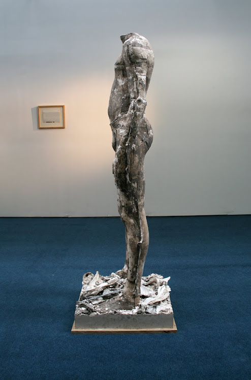 Rory, Limerick City Gallery of Art, 2010