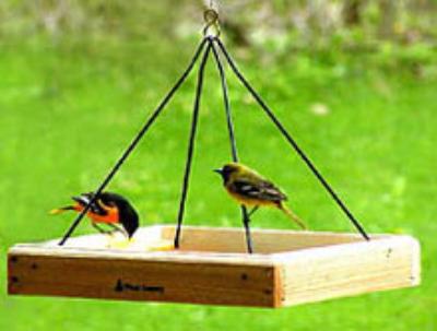 bird feeders general information bird feeders general information