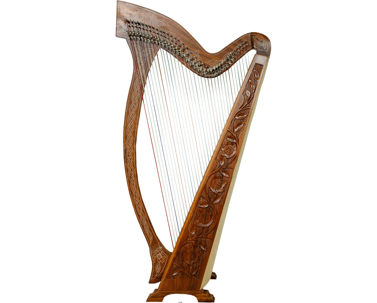 Hafiz Mohammad Junaid 36 Strings Harp