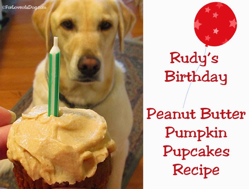 Talking Dogs at For Love of a Dog Rudy's Birthday Peanut Butter