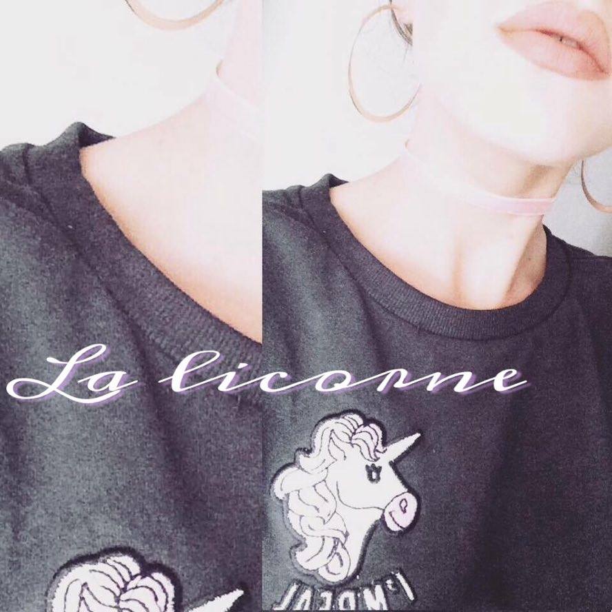 la_licorne