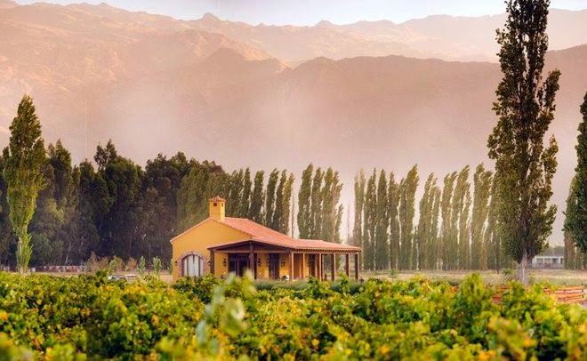 cafayate argentina