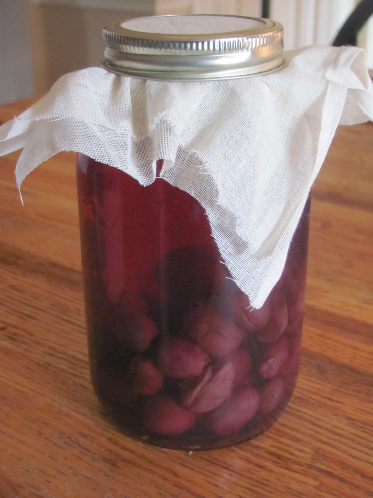 Homesteading on the Homefront Homemade Red Wine Vinegar