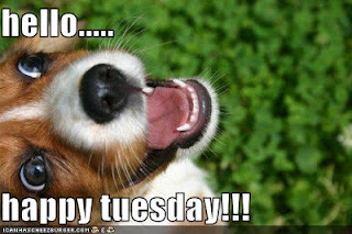 hello-happy-tuesday.jpg
