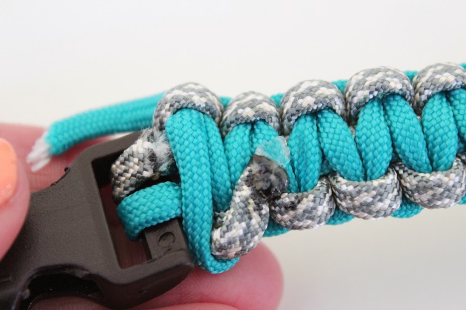 DIY Paracord Dog Collar Fashion meets Food