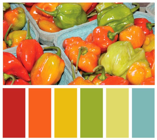 Color Swatch Palette made from a photo of peppers Color Swatch Palette made from a photo of peppers