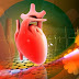 Ciri Penyakit Jantung Plus Pencegahan