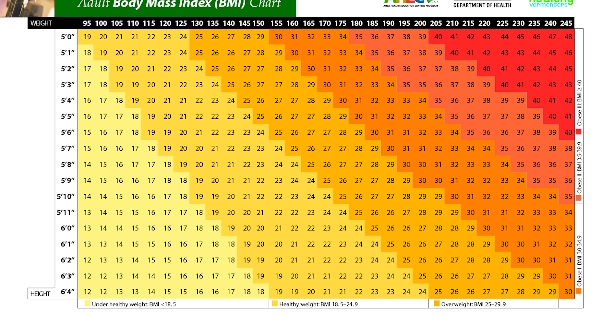 Importance of Medical Scales and BMI Healthier