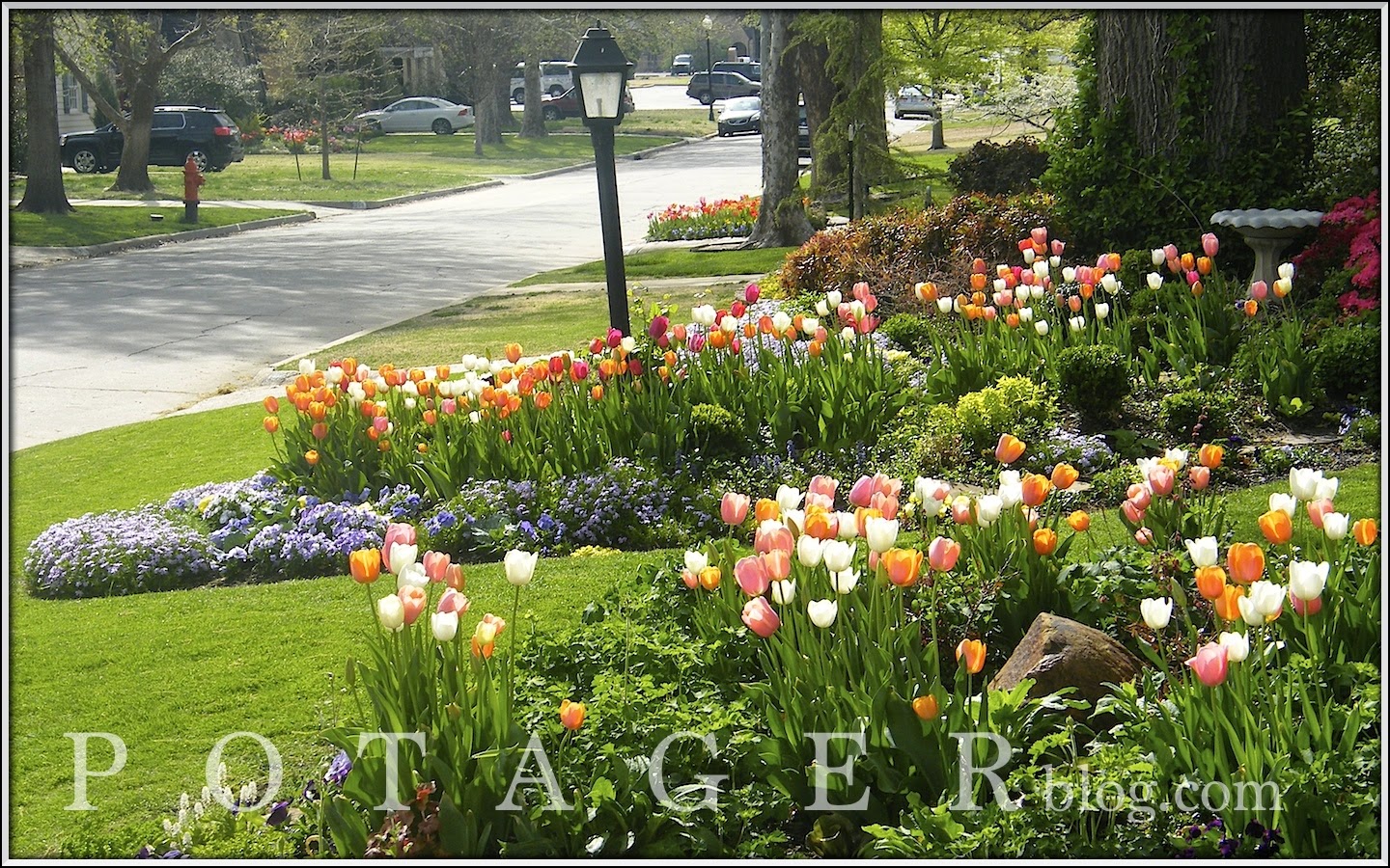 P O T A G E R Protecting Plants from a Hard Freeze