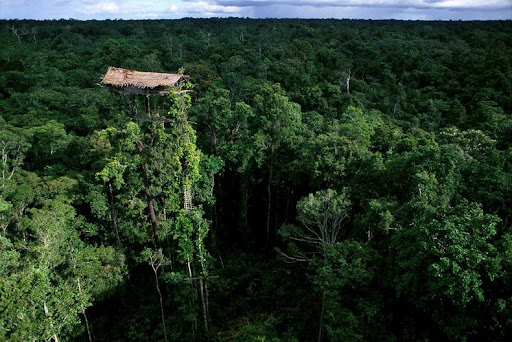 Suku Korowai