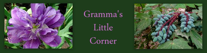 Gramma's Little Corner