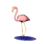 flamingo clipart gif