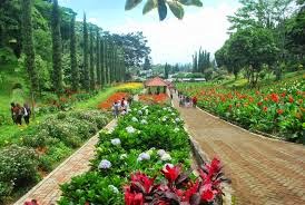 Promo Paket Tour Murah Malang Batu Terbaru 2014 - Taman Bunga Selecta Promo Paket Tour Murah Malang Batu Terbaru 2014 - Taman Bunga Selecta