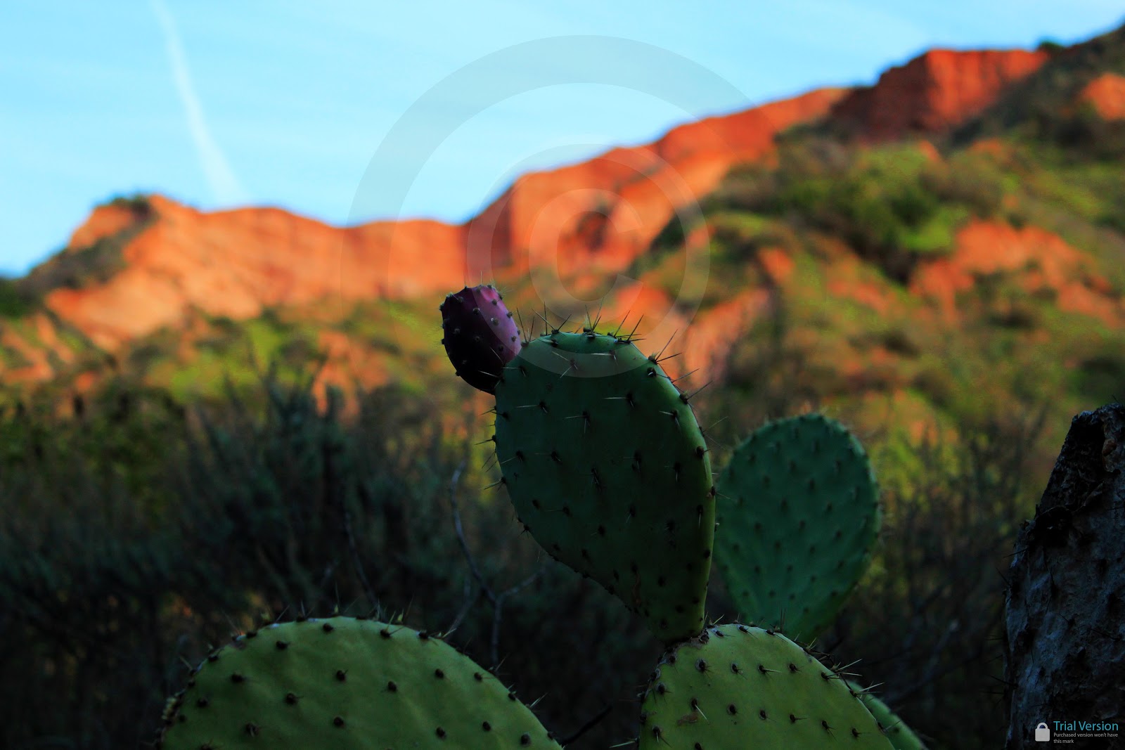 Hiking & Photography in Southern California and Beyond Hiking Red Rock