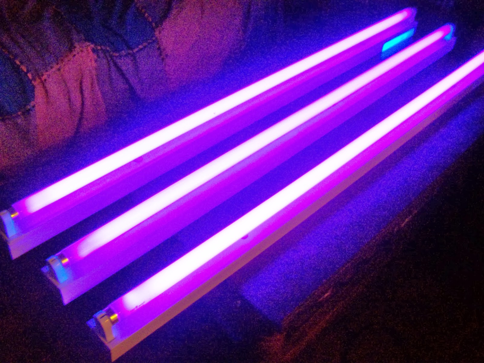 iluminacion ultravioleta 191 c 243 mo se hace t 233 cnicas fotogr 225 ficas luz ultravioleta iluminacion ultravioleta 191 c 243 mo se hace t 233 cnicas fotogr 225 ficas luz ultravioleta