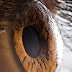 Your beautiful eyes