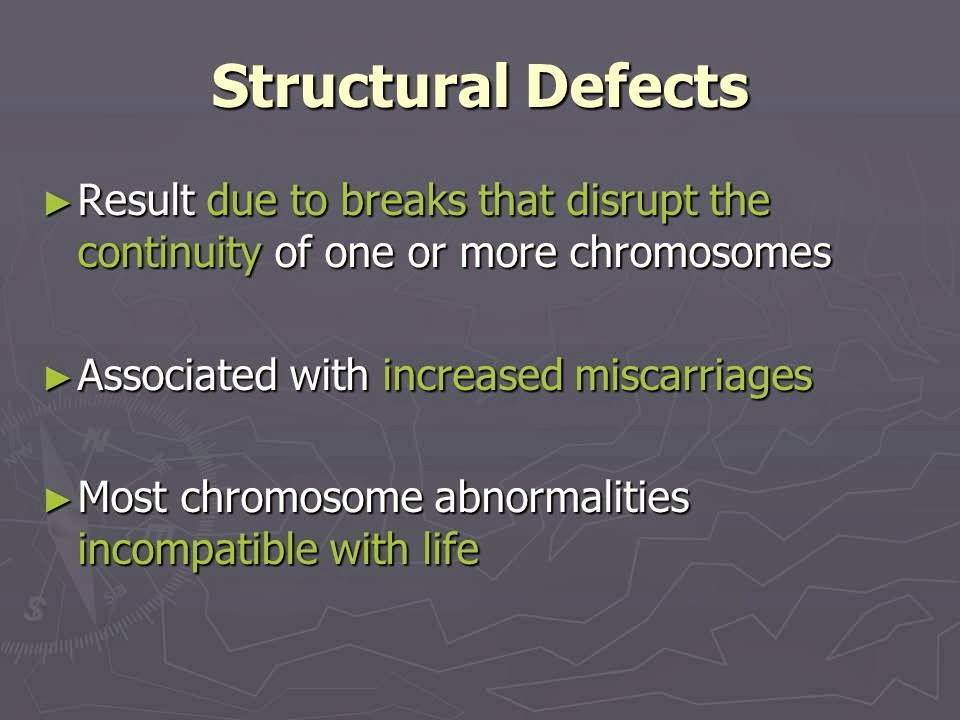 Slide 31