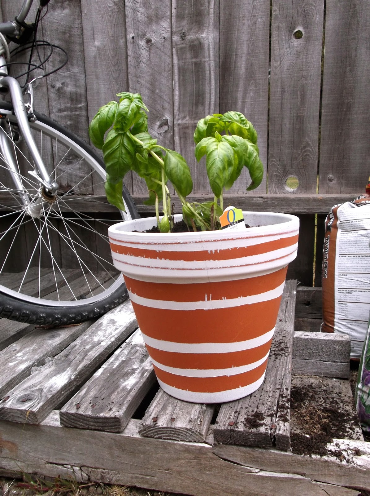 The Jewel Toned Life Spray Painted Terracotta