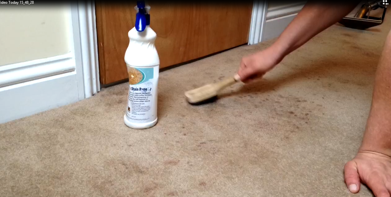 http://www.artofclean.co.uk/carpet-cleaning/