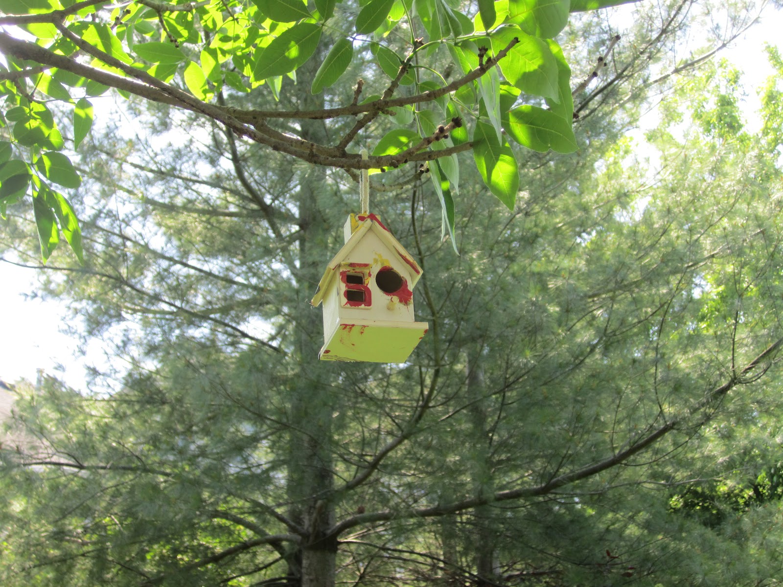 Keeping up with the Kiddos Dollar Crafts Bird Houses