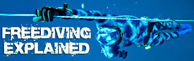 The complete manual of freediving