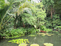 Lake - Tropical Spice Garden, Penang