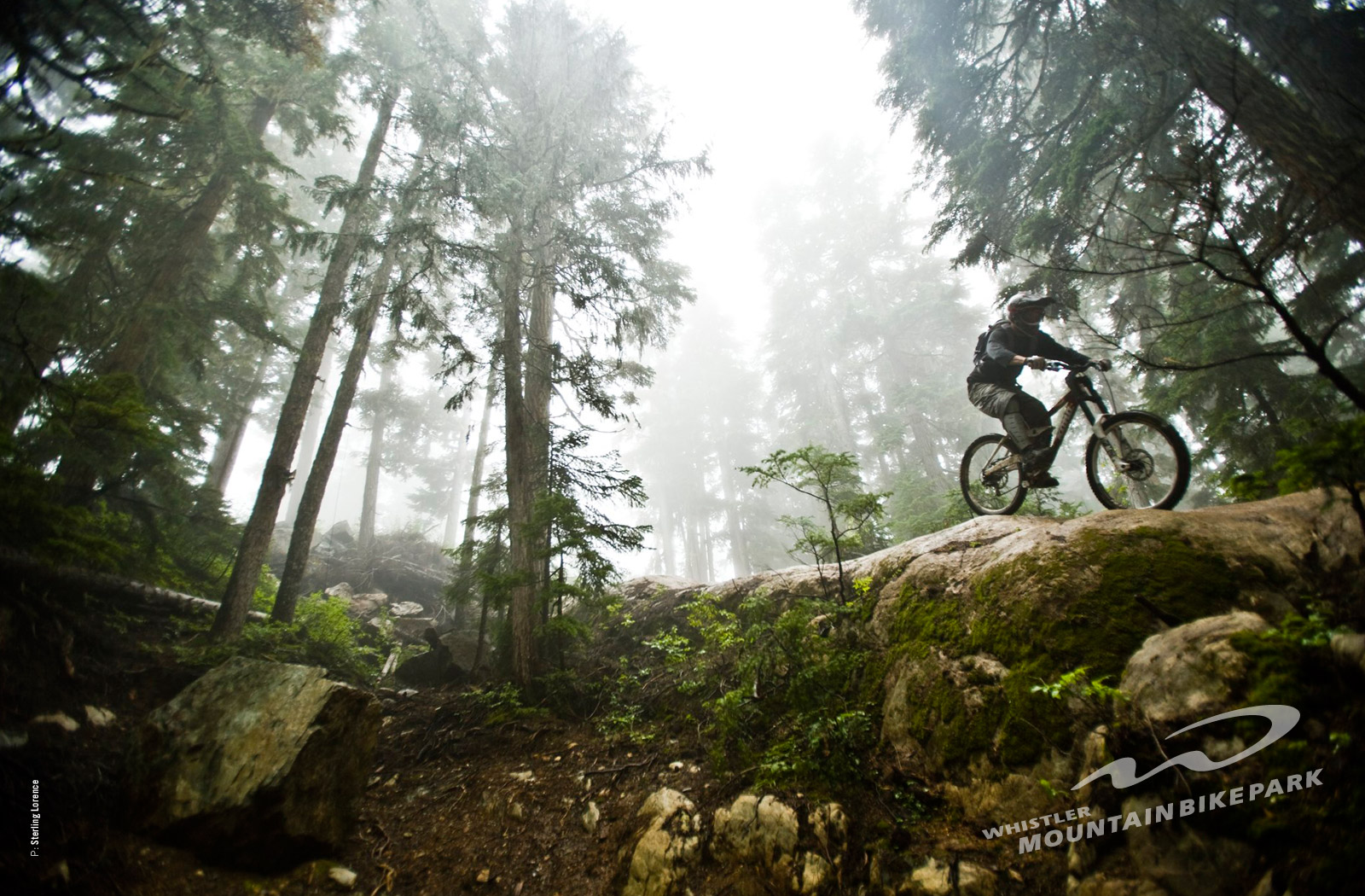 wallpapers mountain bike wallpapers free wallpapers mountain ...