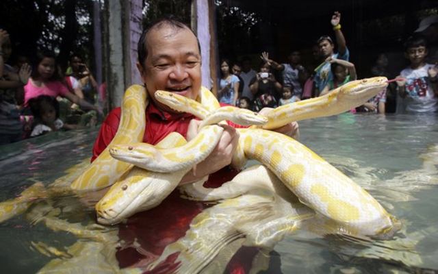 Manila's zoo owner, Emmanuel Tangco, not only handles snakes for a living, he also sleeps with them on occasion.