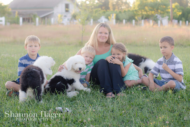 Shannon Hager Photography, Old English Sheepdog Puppy