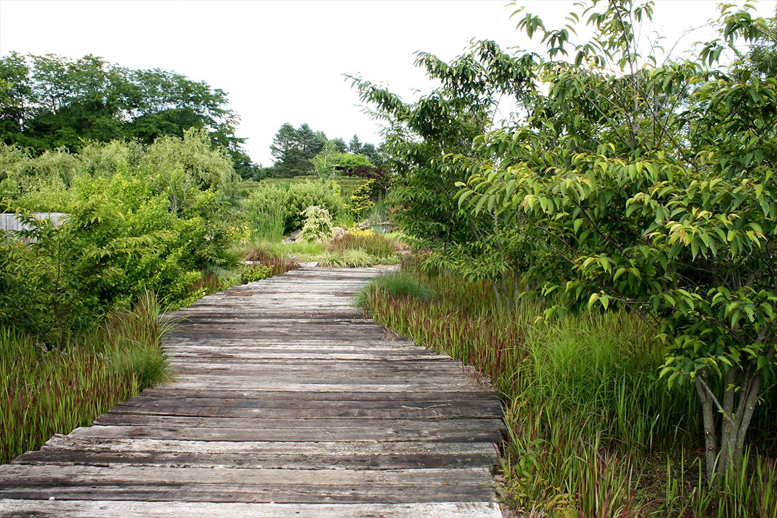 View from Federal Twist Paxson Hill Farm