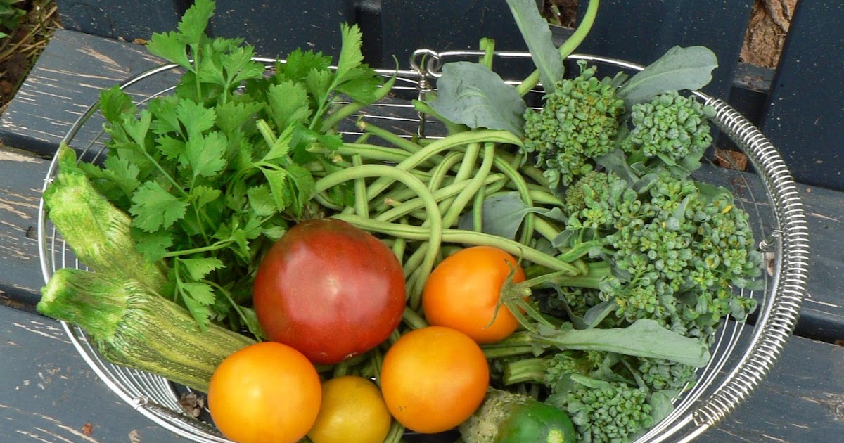 Visit My Garden: The Vegetable Garden