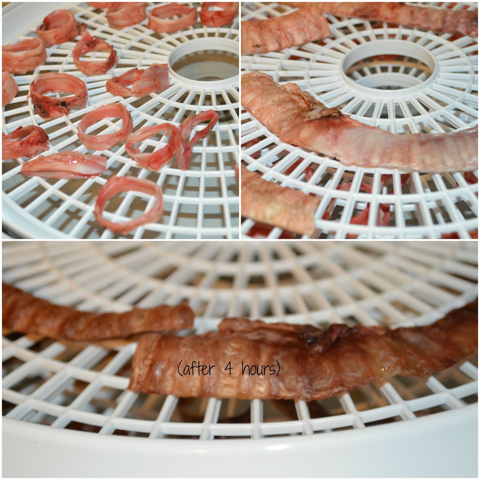 My Rotten Dogs Homemade Dog Chews