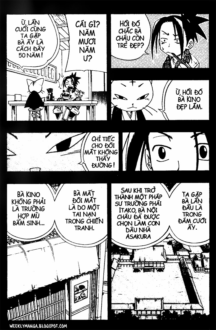 Shaman King [Vua pháp thuật]