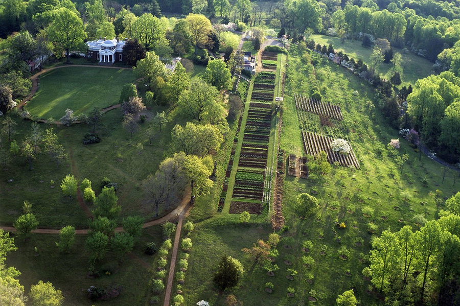 t jefferson s amazing vegetable garden t jefferson s amazing vegetable garden